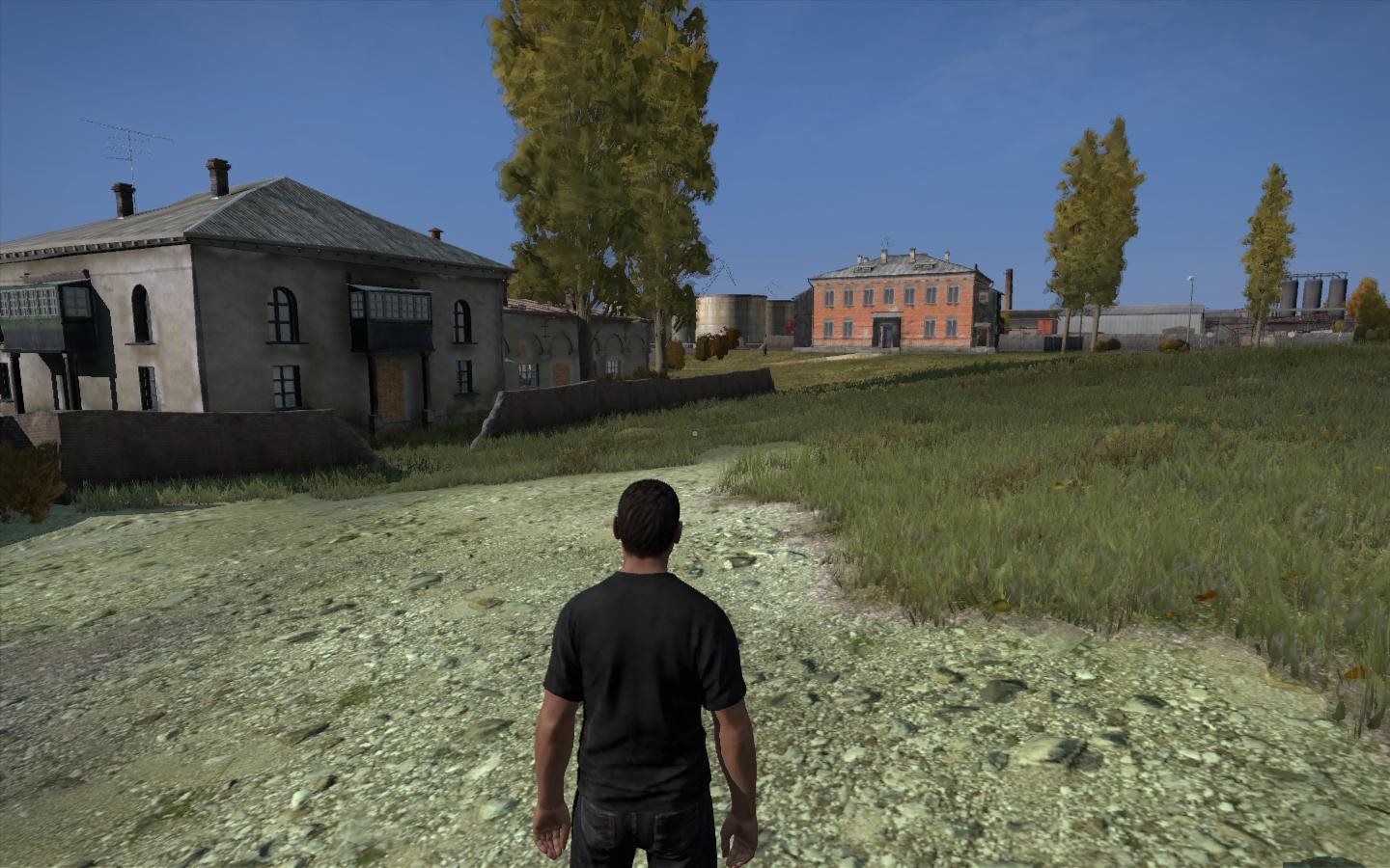 Dayz скачать торрент стим версия фото 28