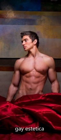 Фото из группы в контакте Gay Estetica