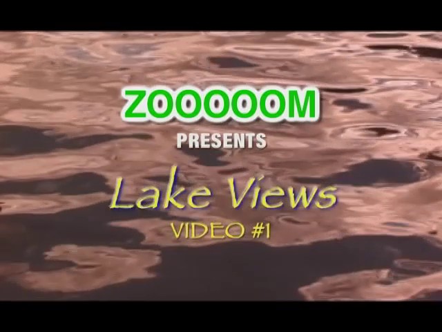 Zooooom s Lake Views 1